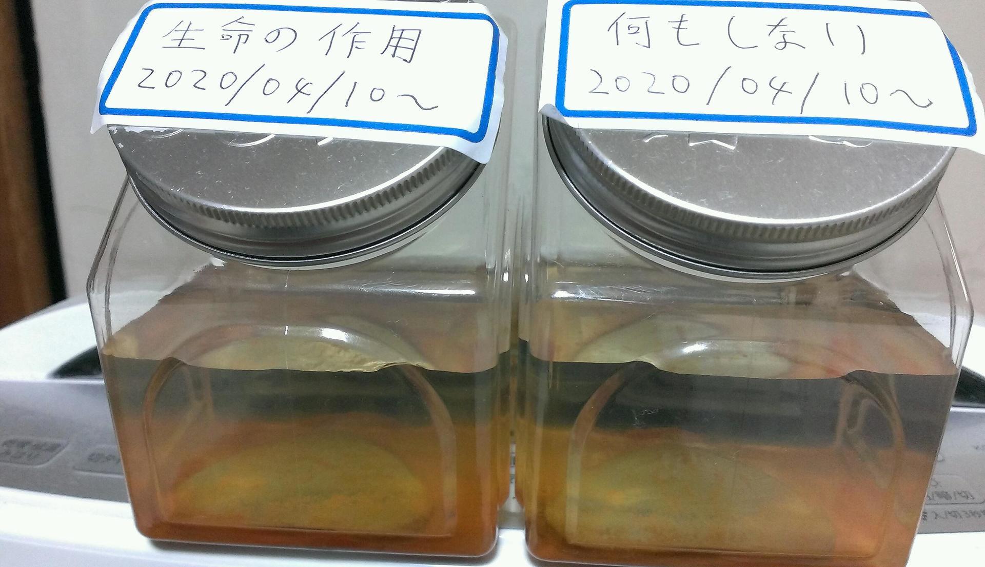 缶バッジ錆びさび実験 4 17 生命学